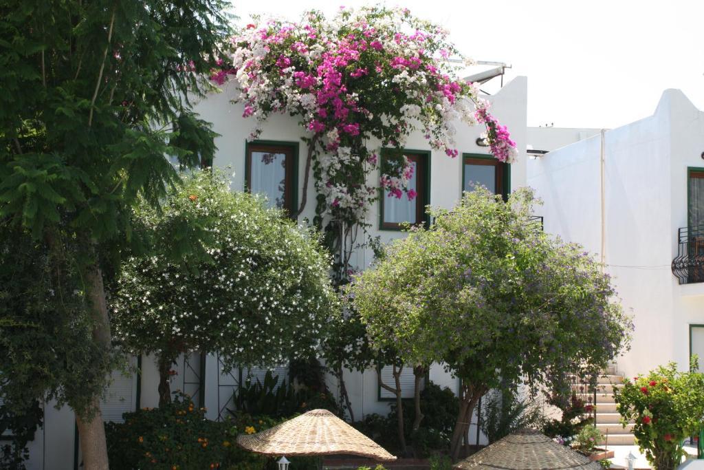 Bronze Hotel Gümbet Buitenkant foto