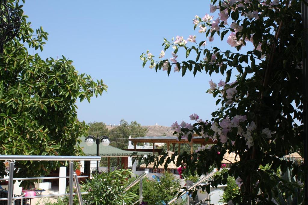 Bronze Hotel Gümbet Buitenkant foto