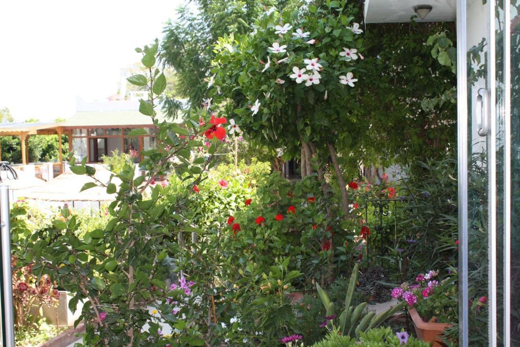 Bronze Hotel Gümbet Buitenkant foto